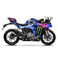 250 SR MOSNTERX DESIGN 1