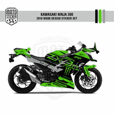 Kawasaki Ninja 300 2018 WSBK Design Görsel 4.png