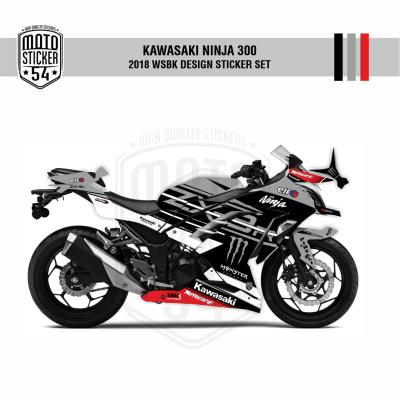 Kawasaki Ninja 300 2018 WSBK Design Görsel 7
