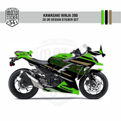 Kawasaki Ninja 300 ZX-3R Design Görsel 1.png