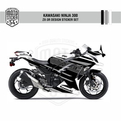 Kawasaki Ninja 300 ZX-3R Design Görsel 5.png
