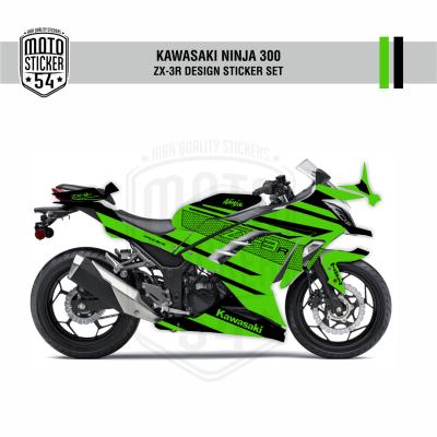 Kawasaki Ninja 300 ZX-3R Design Görsel 8.png