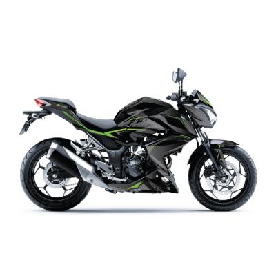 KAWASAKİ Z 300 - MODEL 1
