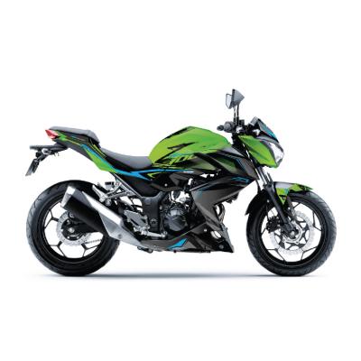 KAWASAKİ Z 300 - MODEL 3