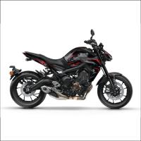 MT 09 RG DESIGN 1
