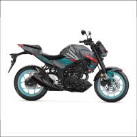 MT 25 RG DESIGN 7