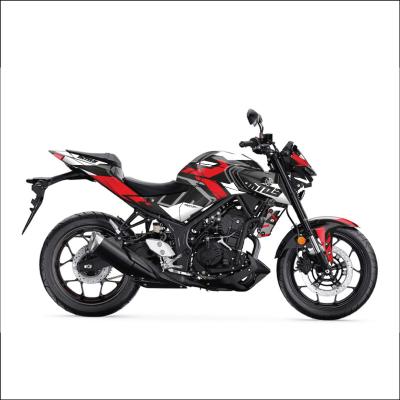 MT 25 RG DESIGN 9