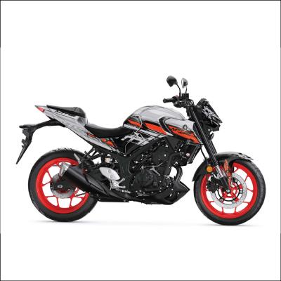 MT 25 RG DESIGN 11