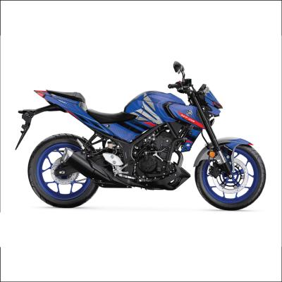 MT 25 RG DESIGN 13