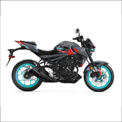 MT 25 RG DESIGN 14