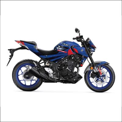 MT 25 RG DESIGN 15