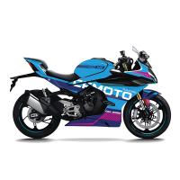 NEWMODEL-46 450SR